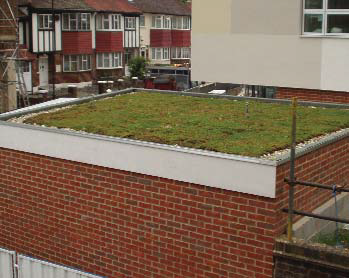 Greenroof